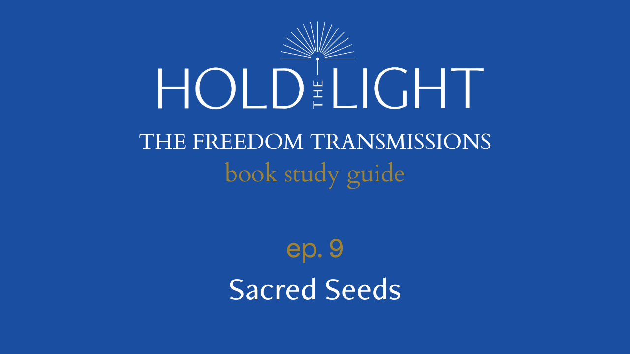 Ep. 9: Sacred Seeds (The Freedom Transmissions Series) - Hold the Light cover