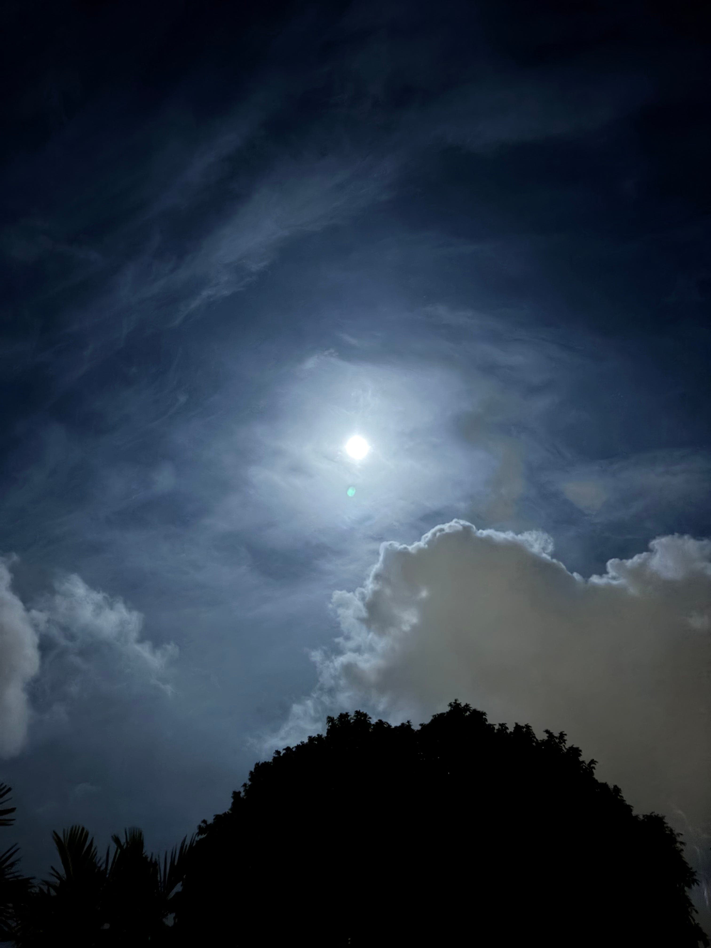 Why I write - Asian Provocation cover