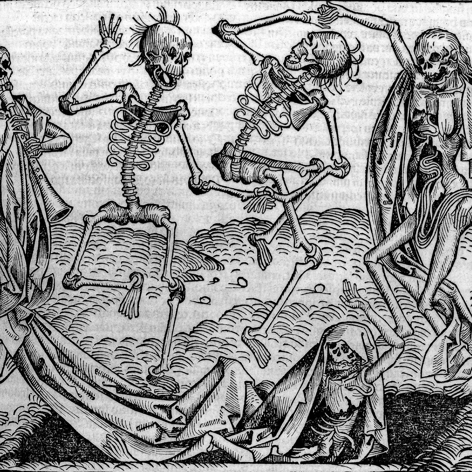 The Ol' College Try is the Goal - Stoic Designer cover