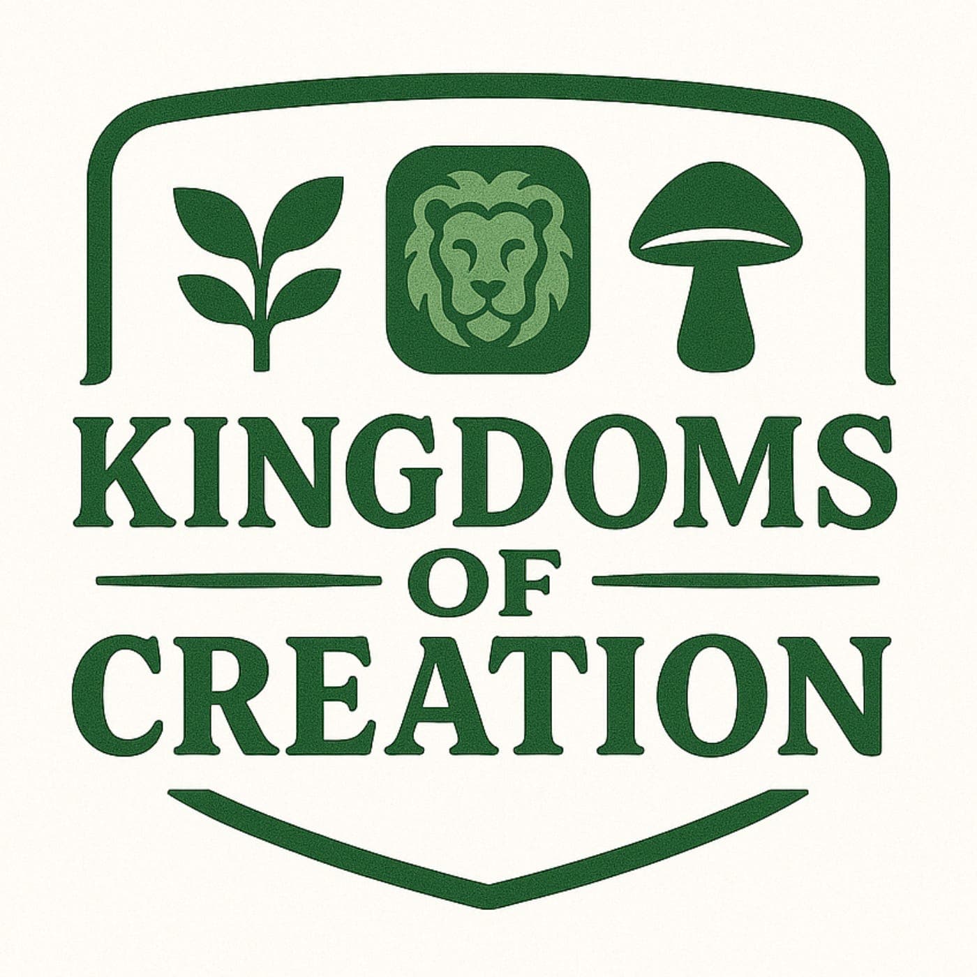 Chapter 8B: The Kingdom of Animals - Reptiles and Birds — Kingdoms of Creation cover