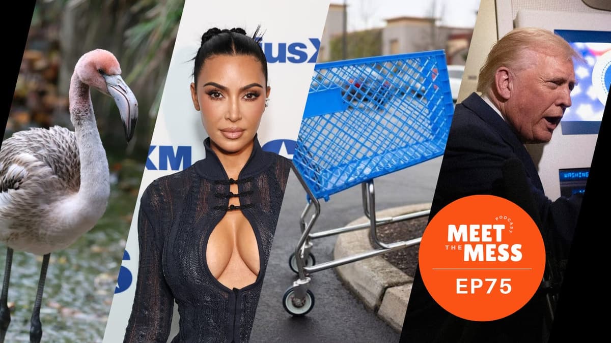 The Great Cart Debate! Plus, Epstein Files Vote, Trump’s “Quiet Piggy” Moment, Kim K Fails the Bar, Runaway Flamingos, and More! - Meet the Mess cover