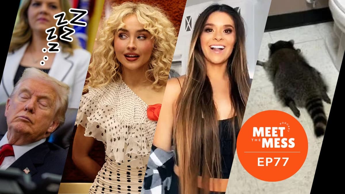 Mormon Wives, Sabrina Carpenter vs. ICE, Costco vs. Trump, the Rise of the Quarter-Zip, the Drunk Raccoon Everyone's Talking About, and More! - Meet the Mess cover