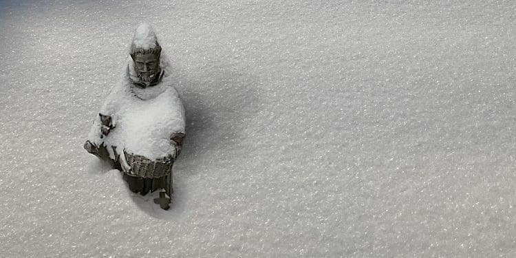 Spiritual Winters and Bountiful Harvests  — Saint in Progress Episode #56 - Saint In Progress cover