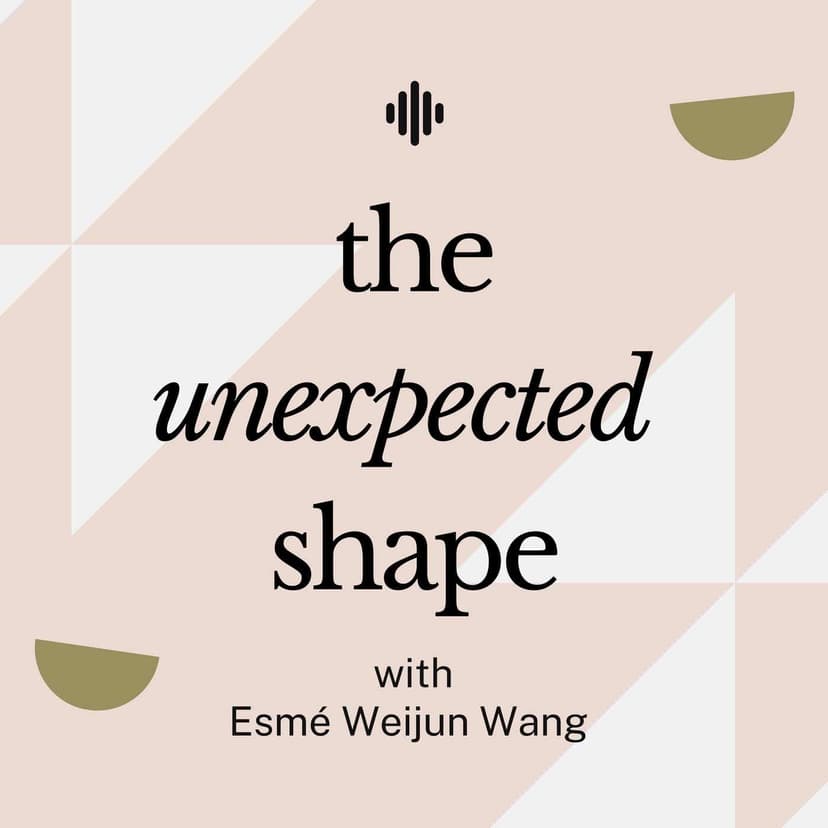 The Unexpected Shape cover