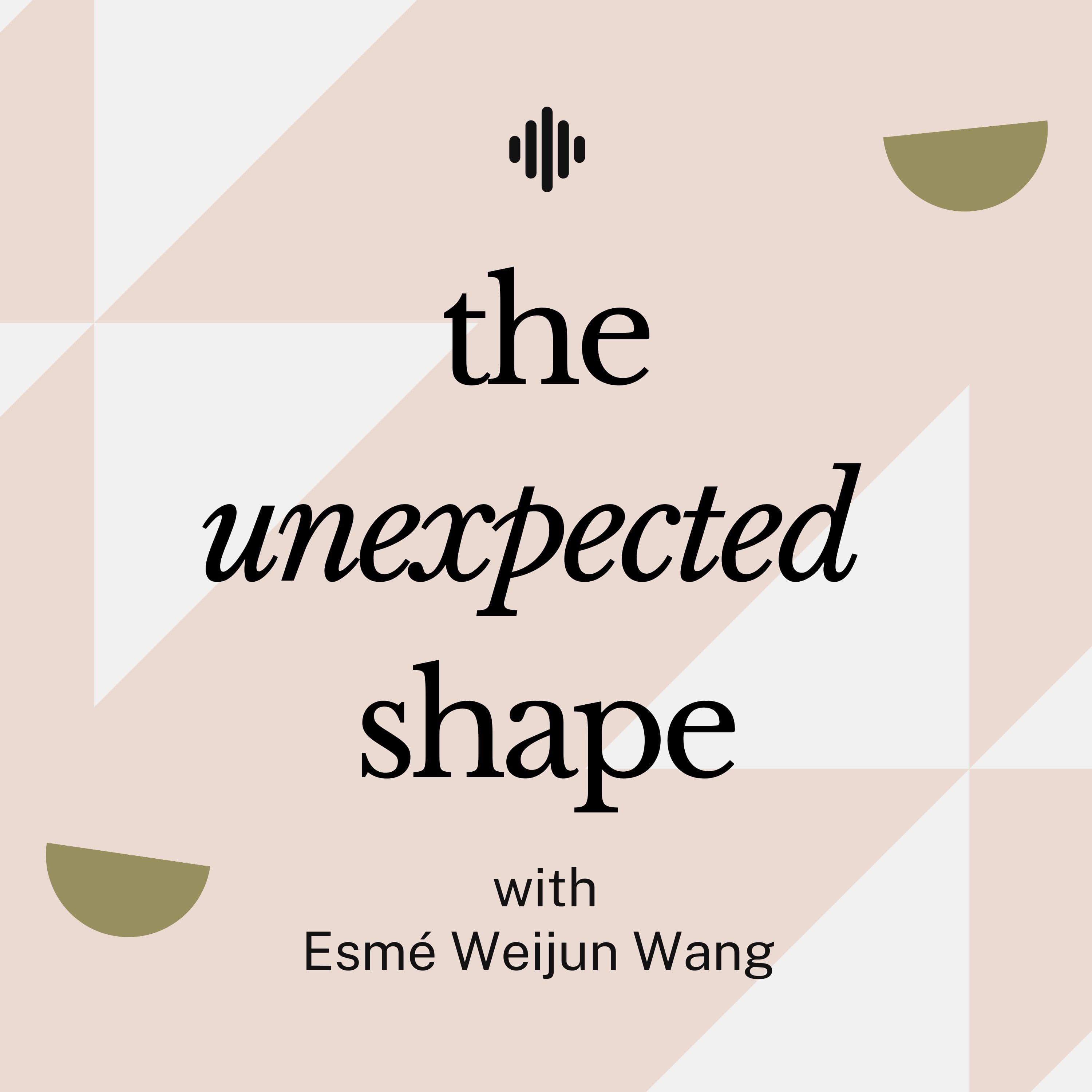 Episode 5: Writing in a Heightened Emotional State - The Unexpected Shape cover