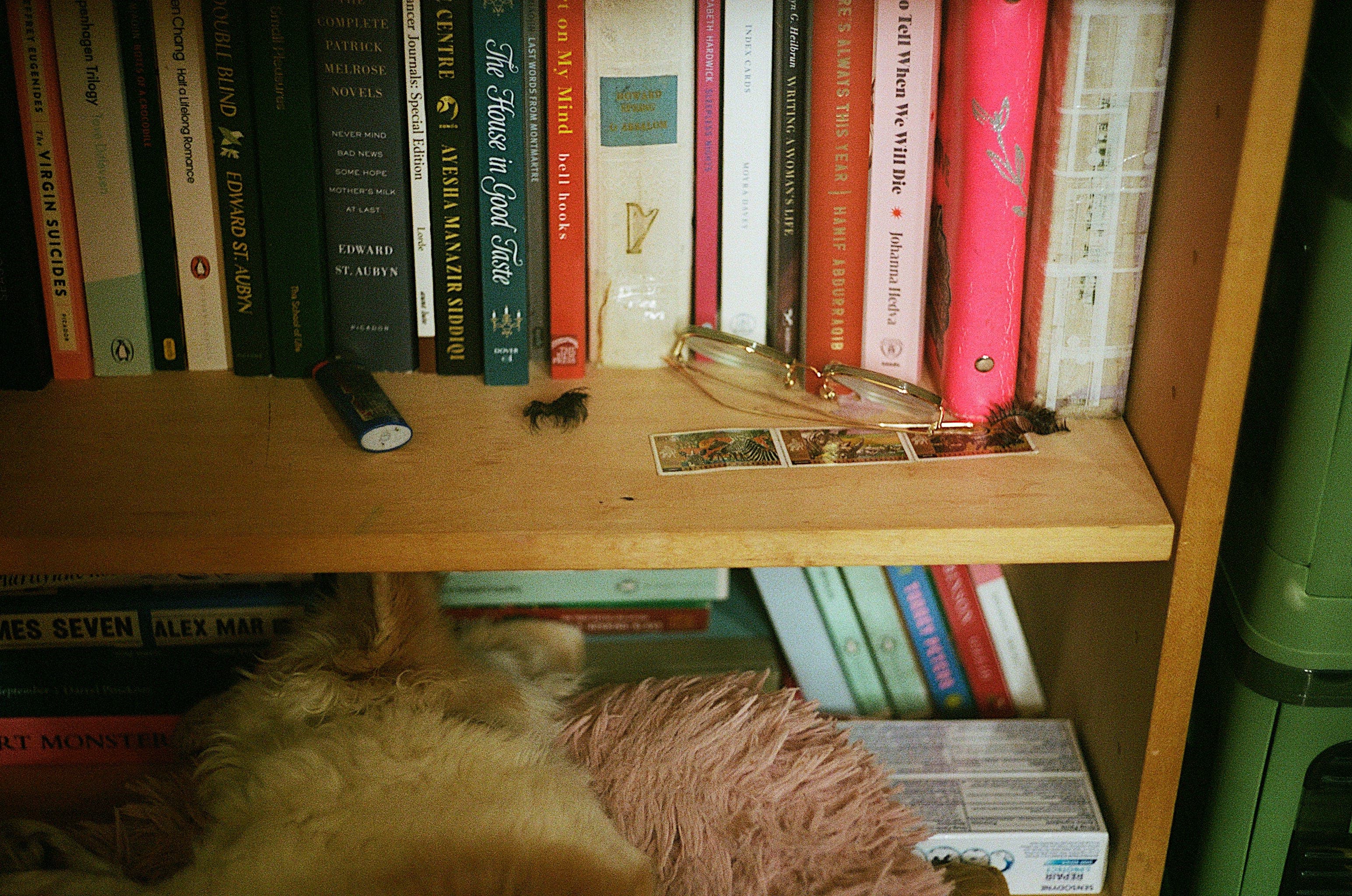 Reason for Living #6: Film Photography - The Unexpected Shape cover