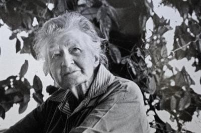 Aileen Fisher's "I Like It When It’s Mizzly" - The Daily Poem cover