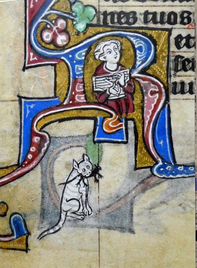 "Pangur Ban" - The Daily Poem cover