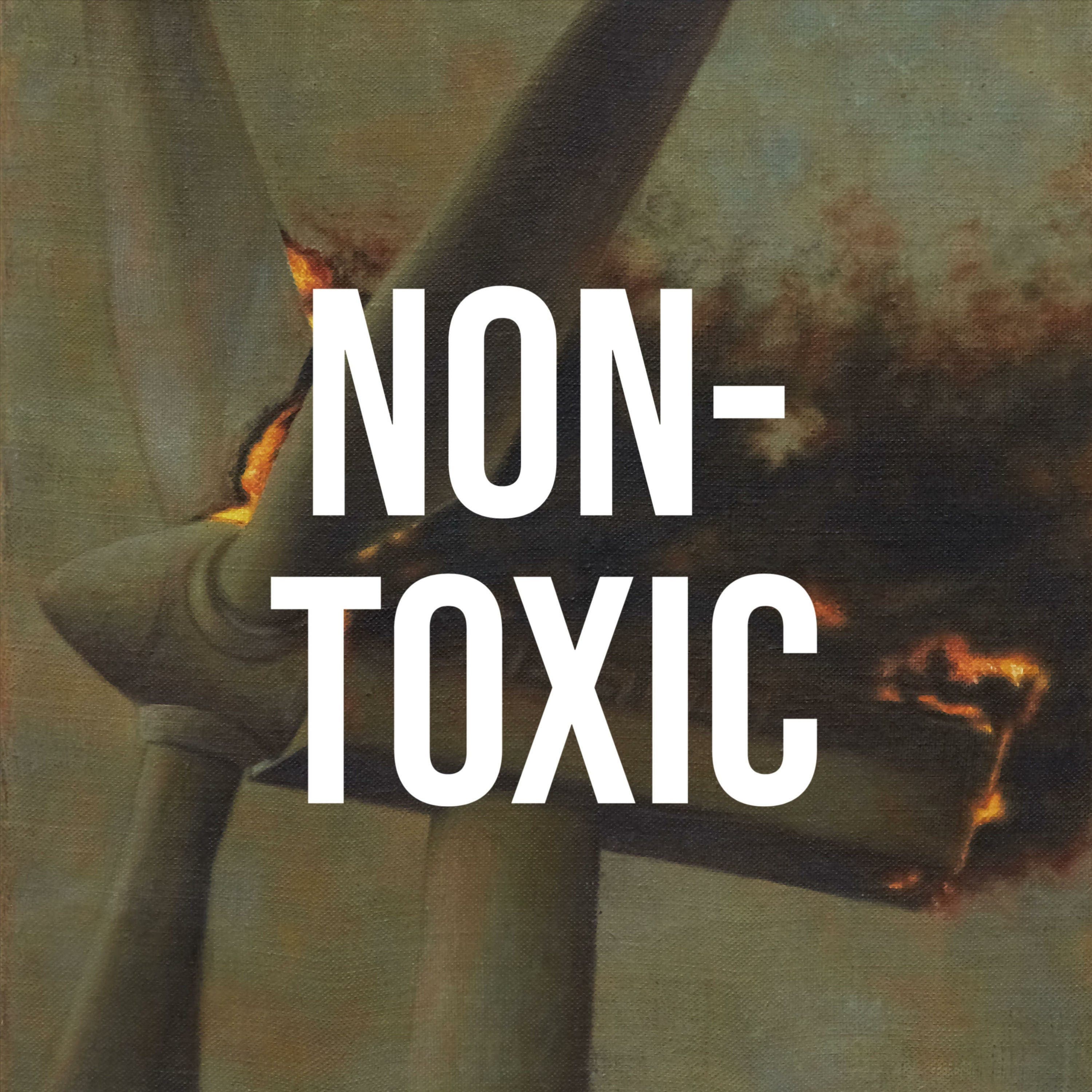 Why Climate Denial Feels So Good - Non-Toxic cover