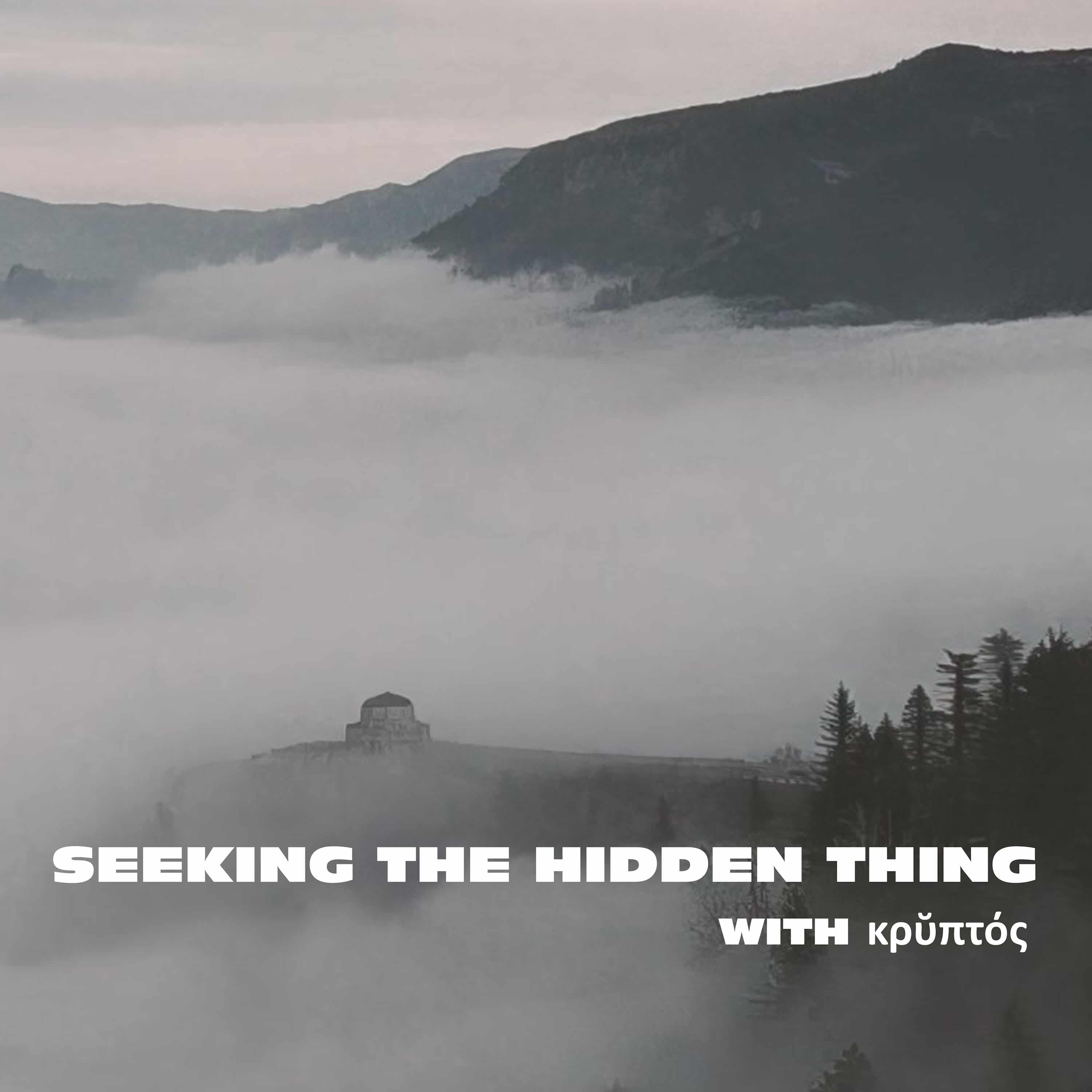 Seeking the Hidden Thing Podcast cover