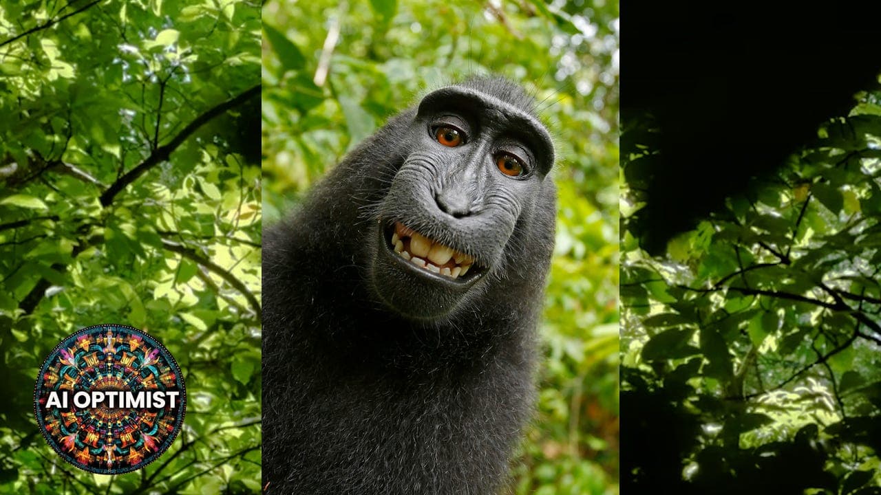 We're All Naruto: The Monkey Got 25%, While AI Creators Get Nothing. Why? - The AI Optimist cover