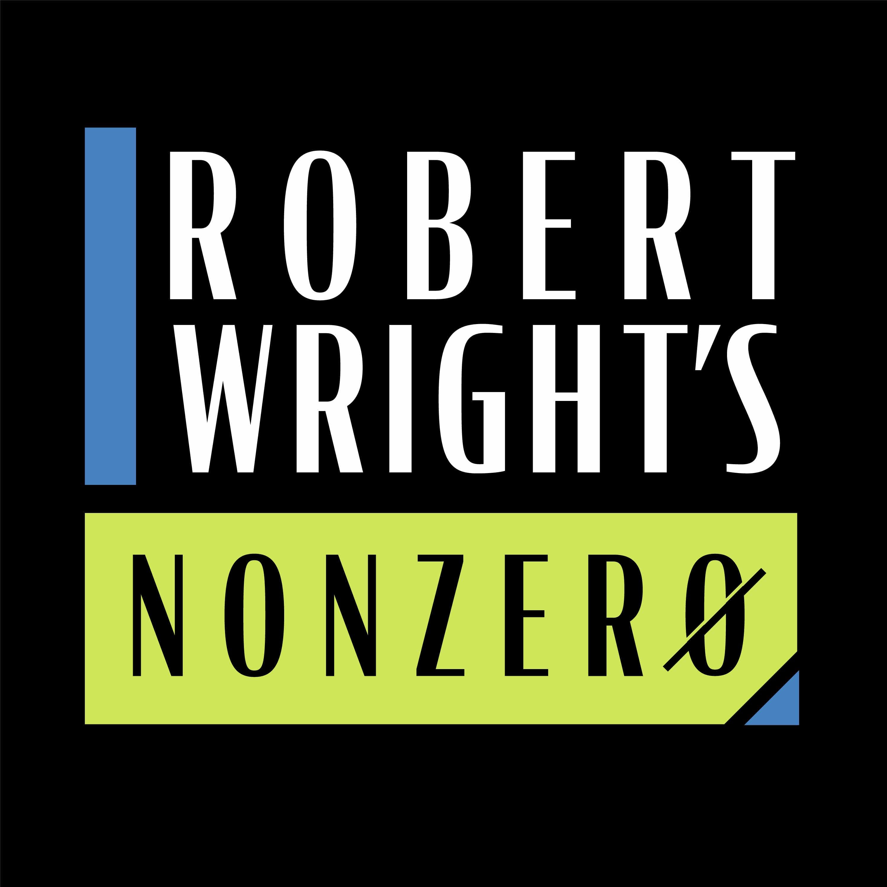 Robert Wright's Nonzero cover
