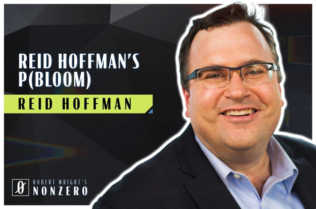Reid Hoffman's p(bloom) (Robert Wright & Reid Hoffman) - Robert Wright's Nonzero cover