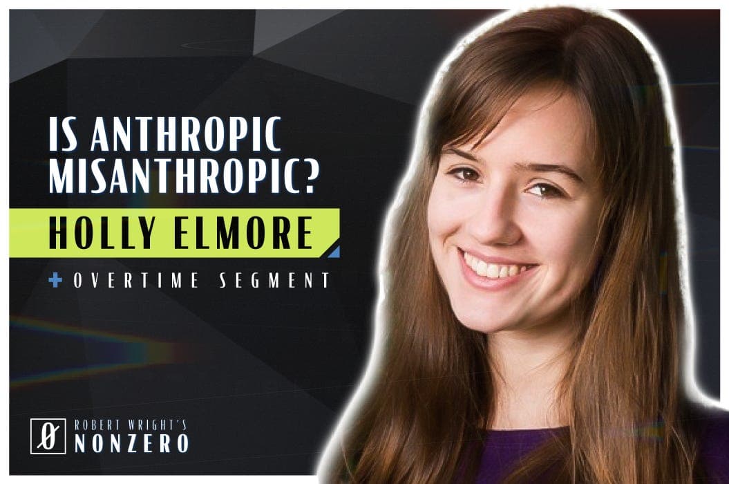 Is Anthropic Misanthropic? (Robert Wright & Holly Elmore) - Robert Wright's Nonzero cover
