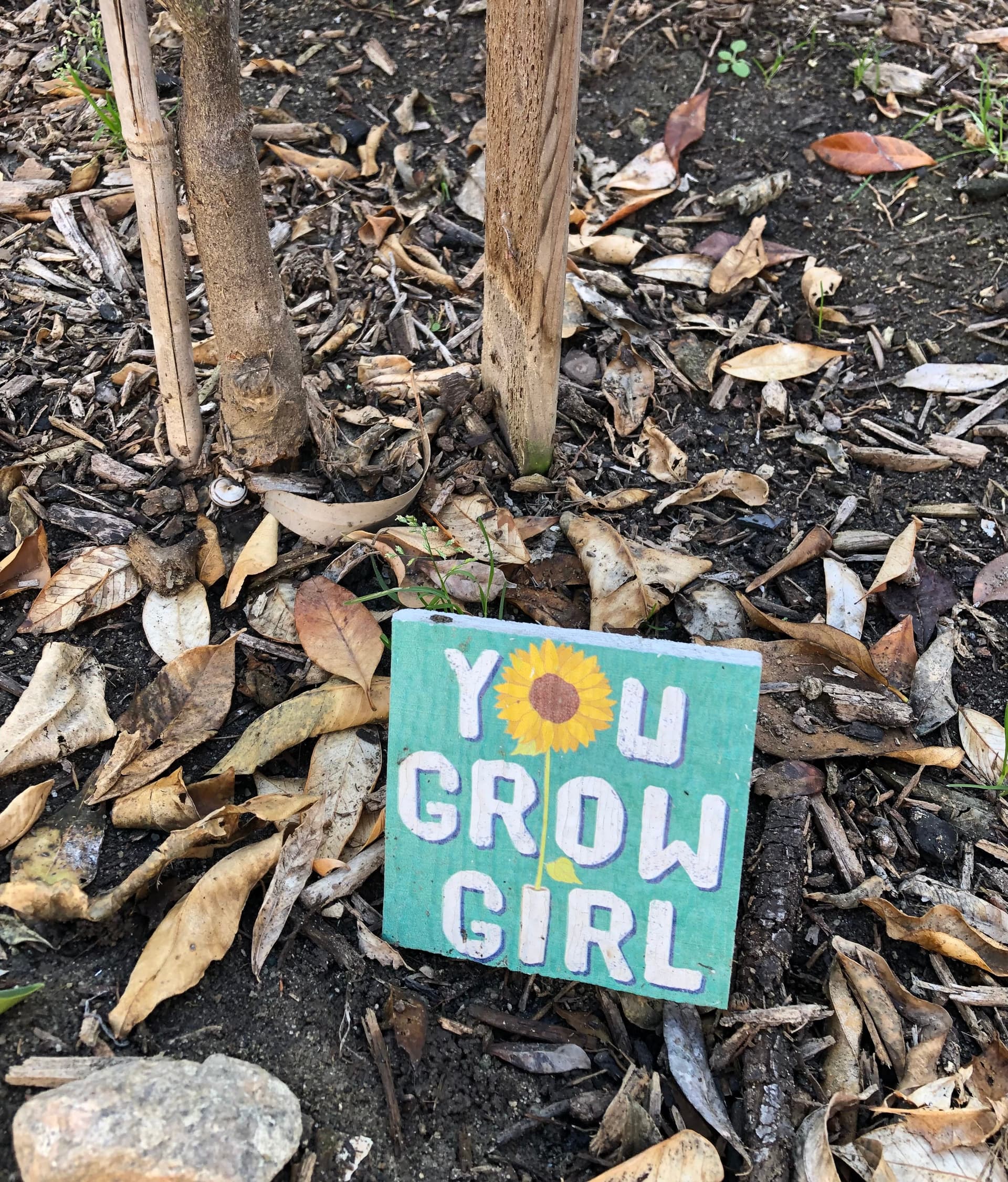 Grief in Drabbles (and a Poem) - Be a Cactus Podcast cover