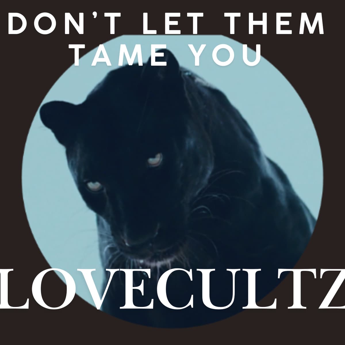 THE PREDATOR PODCAST PRESENTS "VISIONS" Lecture 1 - Buddism & Mindfulness - SEX CULT THE BLOG cover