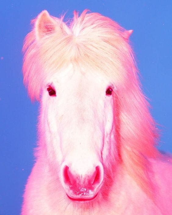 CHANCES ARE……..YOU ARE FUCKING DELUSIONAL AND BEING CONTROLLED BY BILLIONAIRES - SEX CULT THE BLOG cover