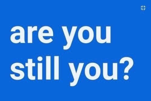 THE SQUARE ROOT OF 2 = 1989 - SEX CULT THE BLOG cover