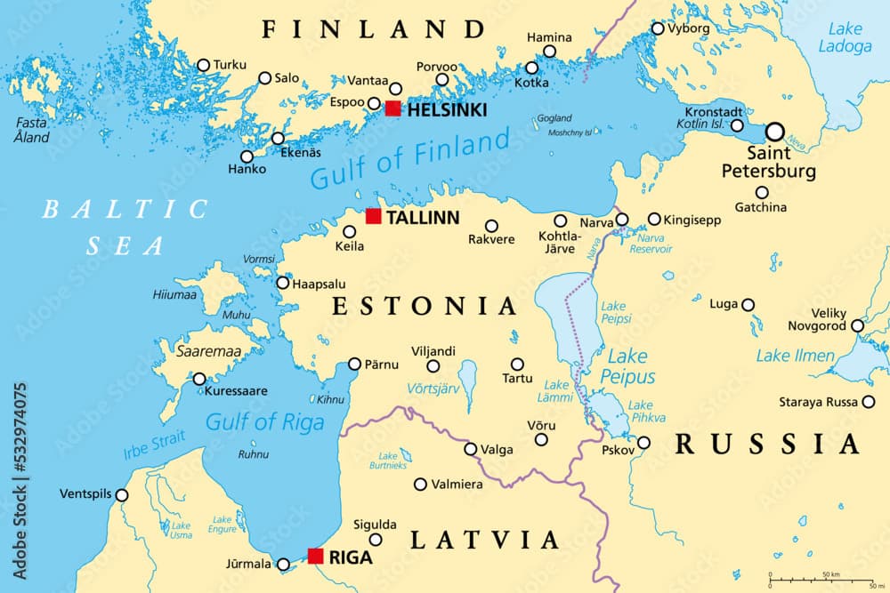 What Can We Learn From Estonia? - Statecraft cover
