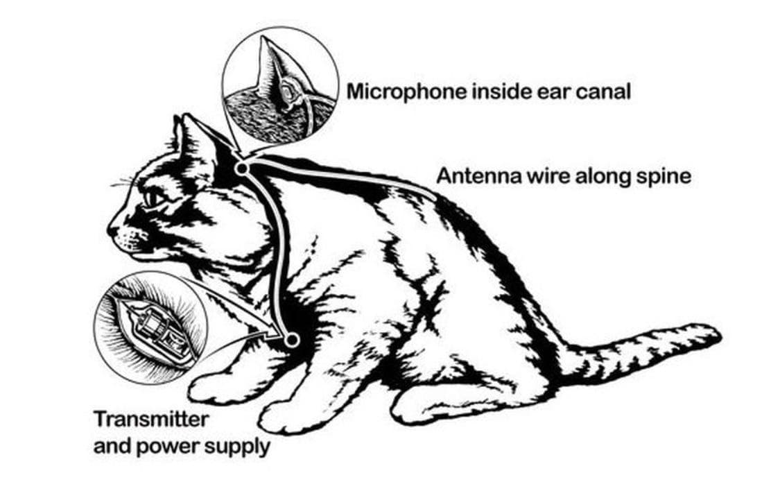 How to Predict the Future - Statecraft cover