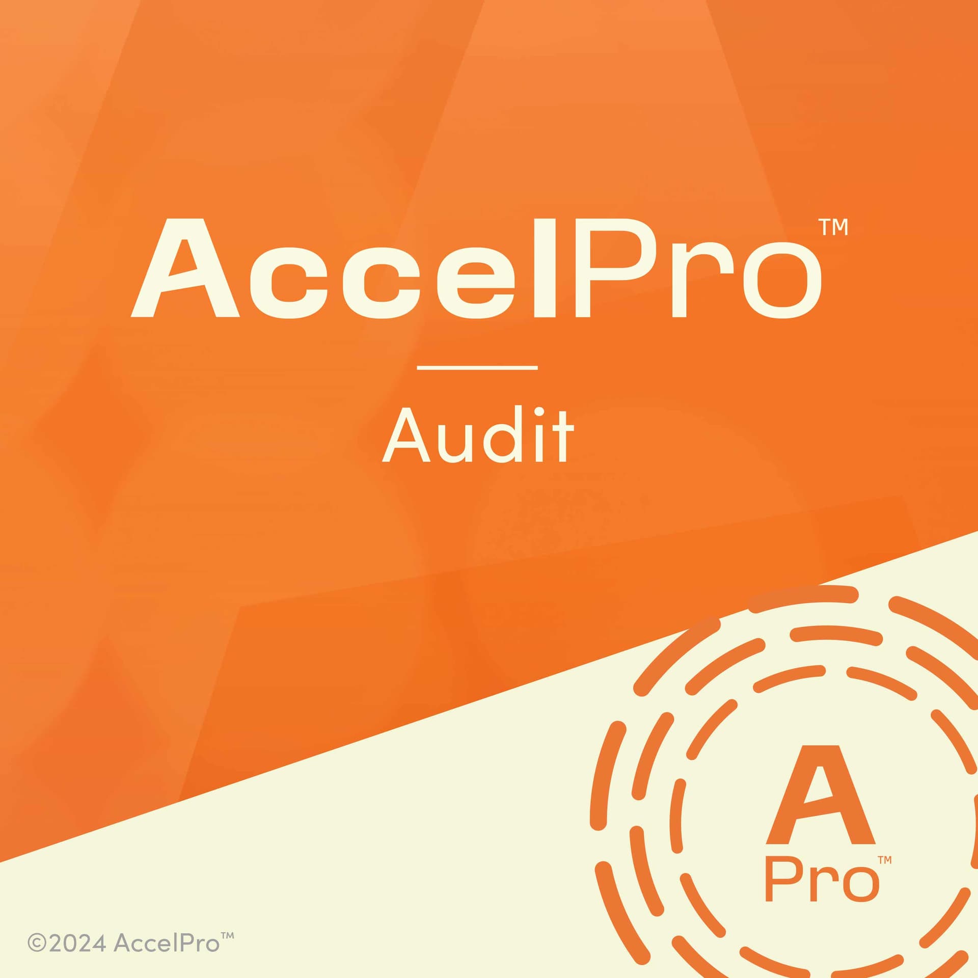 AccelPro | Audit cover