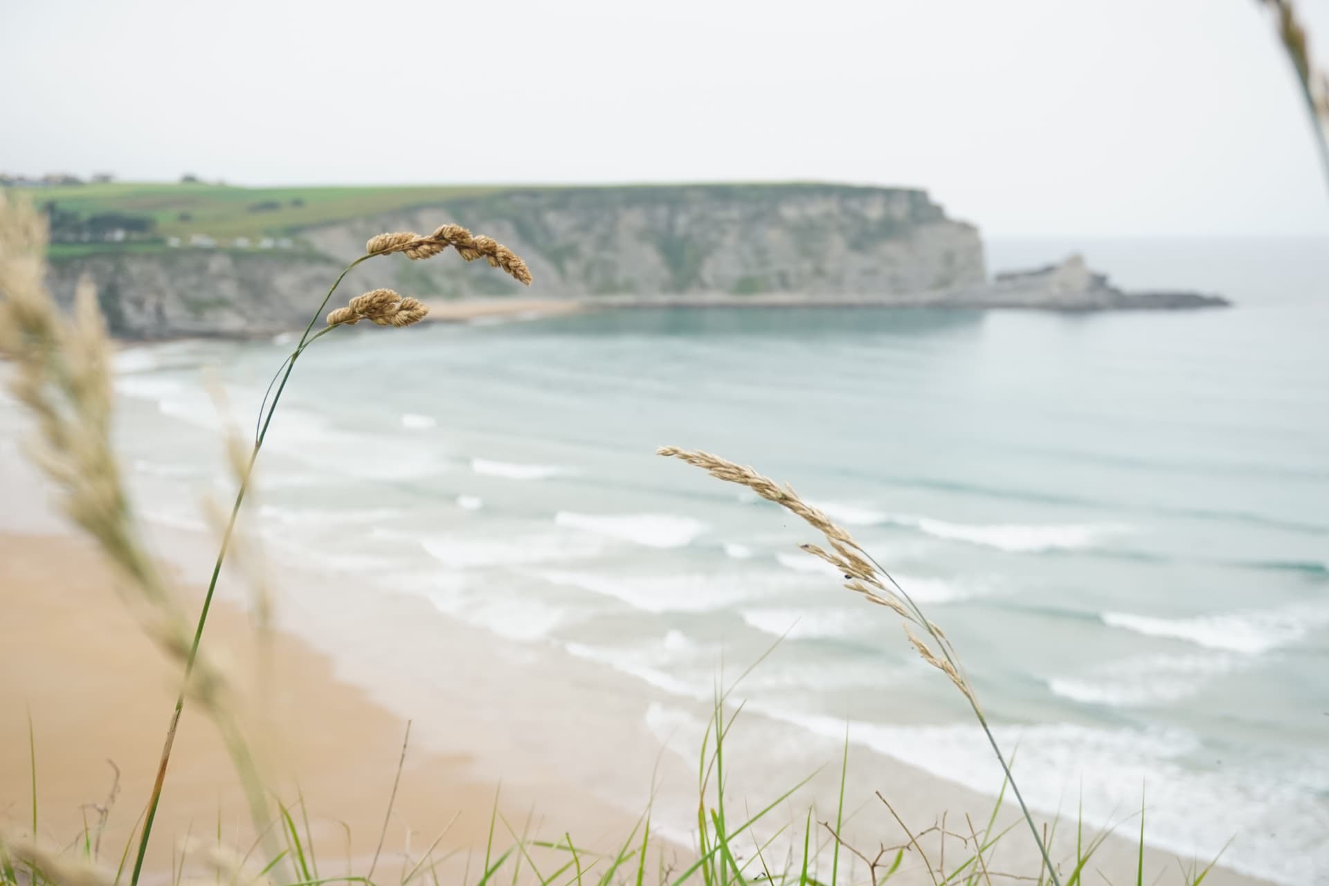 Stories from the Road - I Suck (at Smalltalk) cover