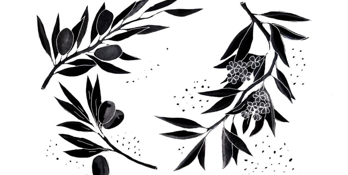 Justice for Palestine Magan-djin Podcast (Ep 1.8) - Radio Reversal Podcast cover