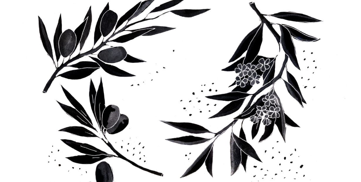 Justice for Palestine Magan-djin Podcast (Ep 1.8) - Radio Reversal Podcast cover