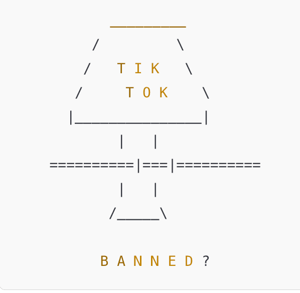 Chris and Bill talk TikTok ban and US-China under Trump — Sinocism Live cover