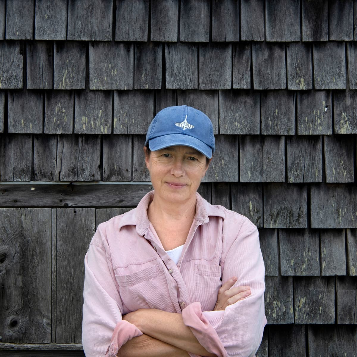 Chatting with Liza Donnelly - Letters from an American  cover