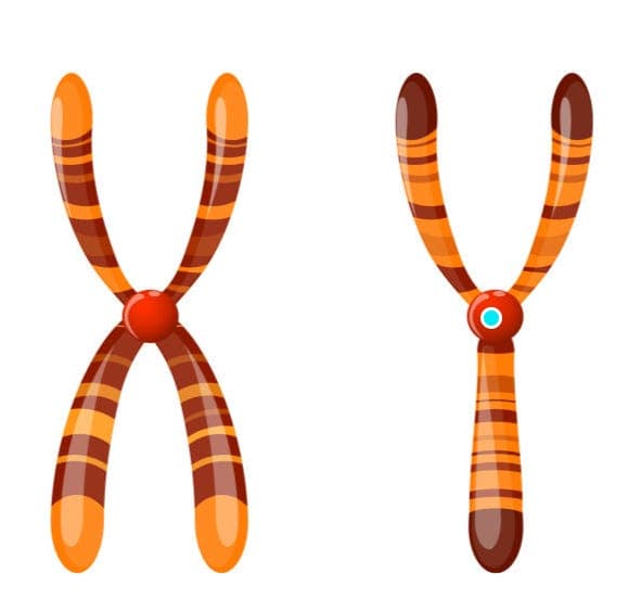 #276 The Untold Story of Sex Hormones - Stuff Your Doctor Should Know cover