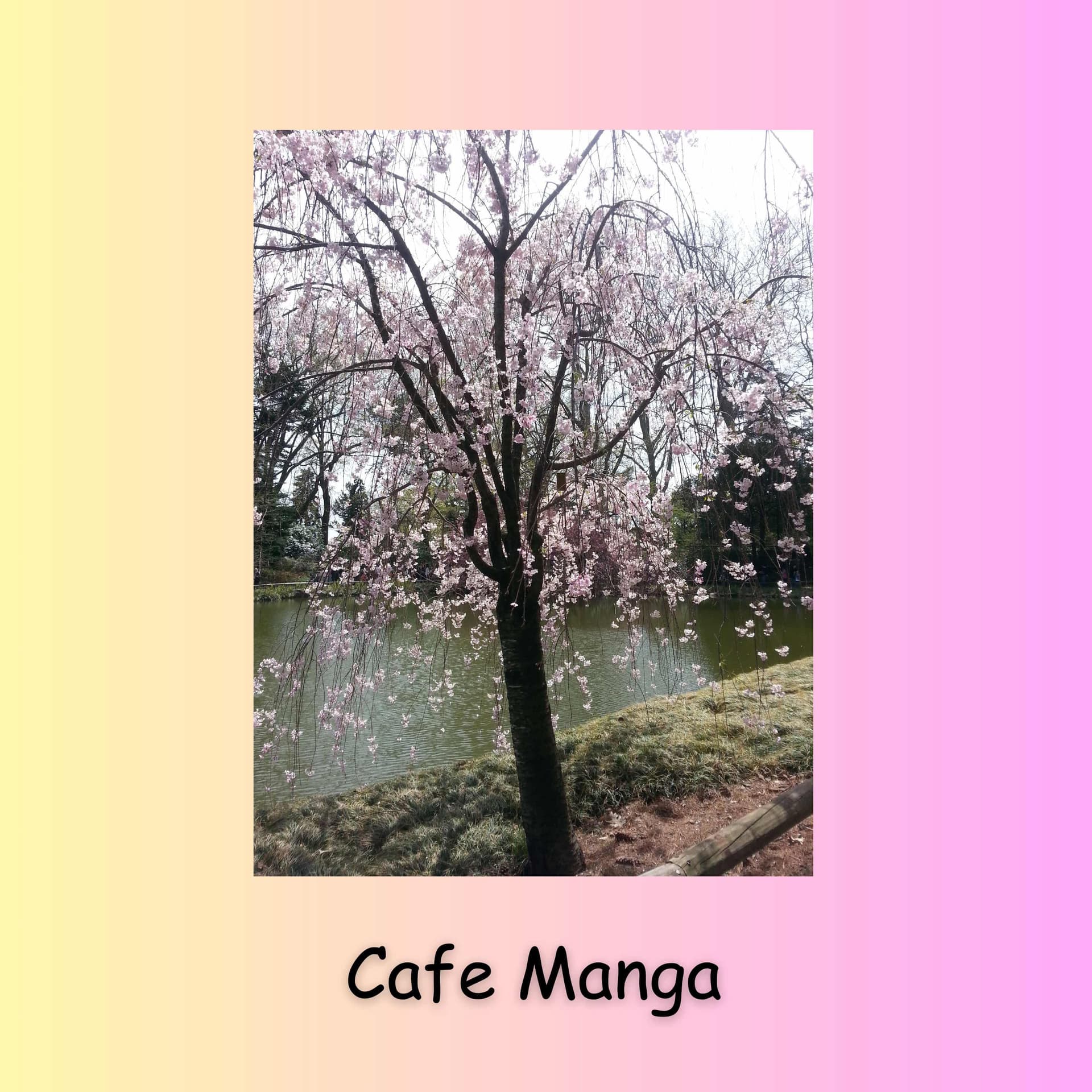 Cafe Manga cover