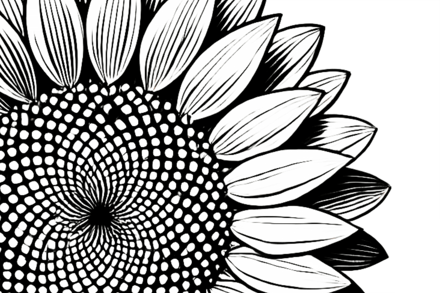 Fibonacci místo 4px-gridu: ŘSoW#65 - Řekni si o web – Podcast pro majitele a designéry webů  cover