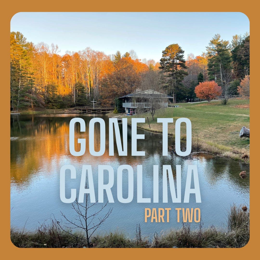 Gone to Carolina, Part Two - Home is a Changeling Podcast cover