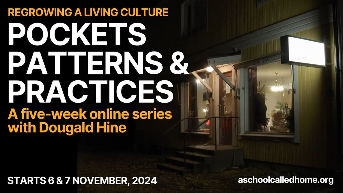 The Times Into Which We Were Born (Solo Show) - Homeward Bound (including The Great Humbling) cover