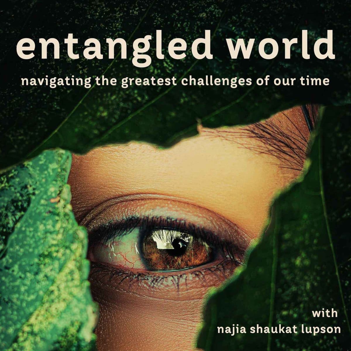 Beyond the Superorganism | Nate Hagens - Entangled World cover