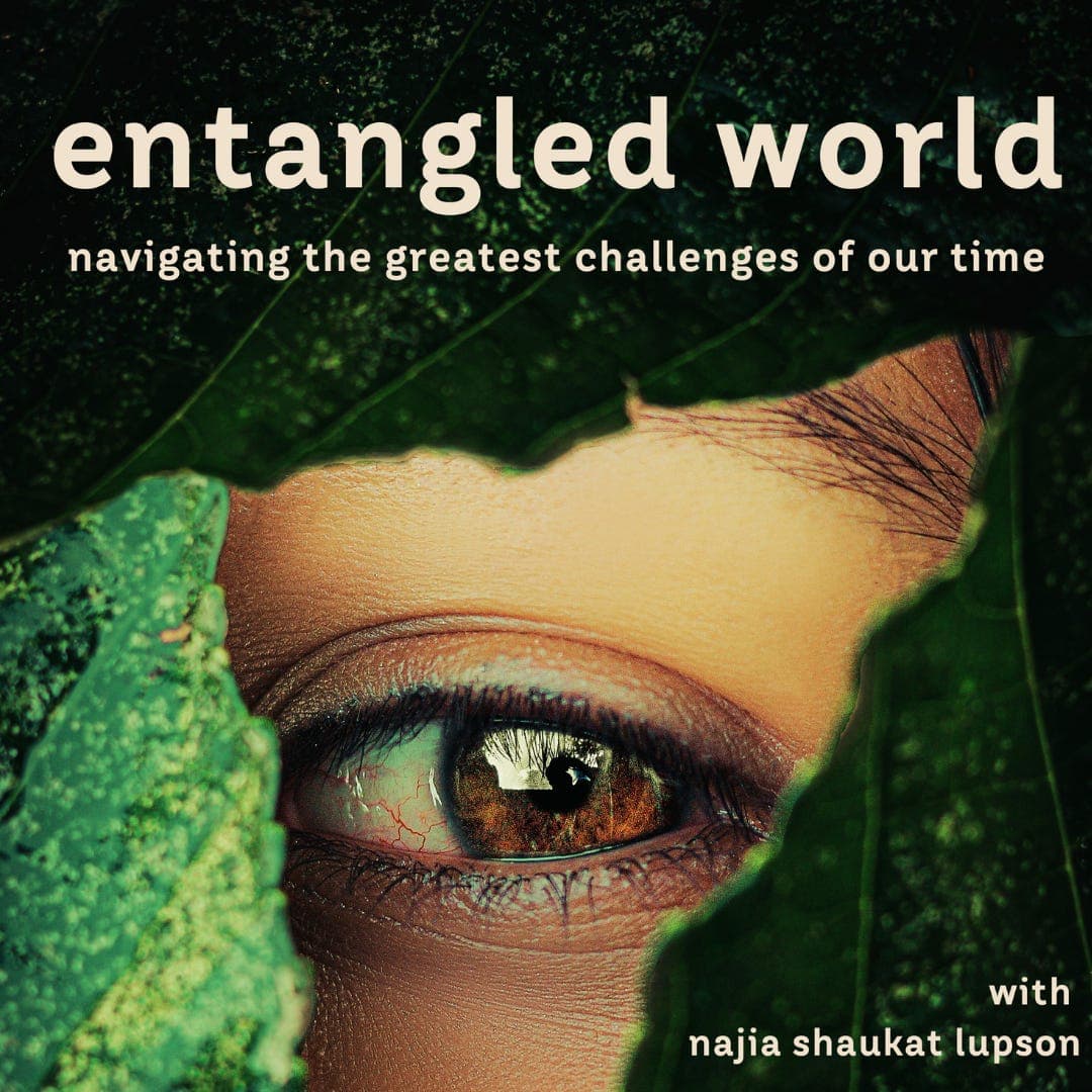 Reimagining Progress | Alex Randall - Entangled World cover