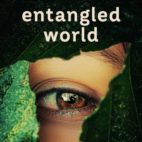Confronting Education | Homa Tavangar & Will Richardson - Entangled World cover