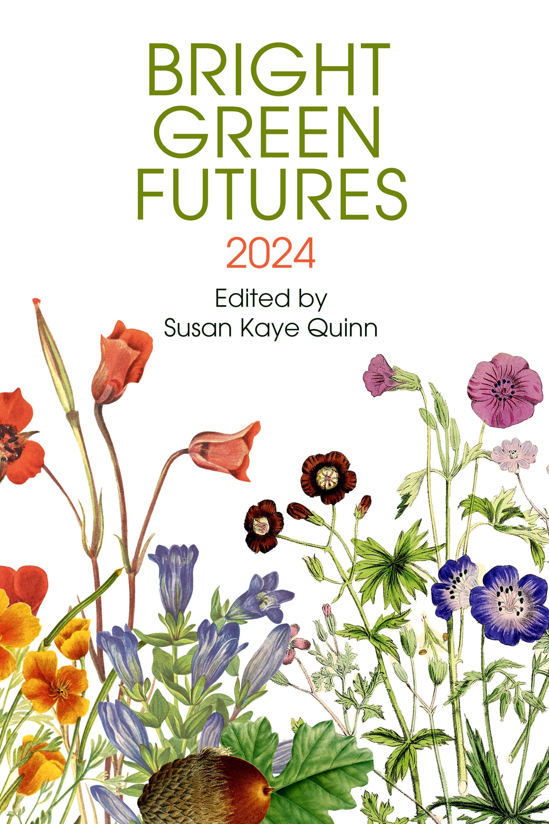 Ep. 33: Climate Resilience with BrightFlame - Bright Green Futures Podcast cover