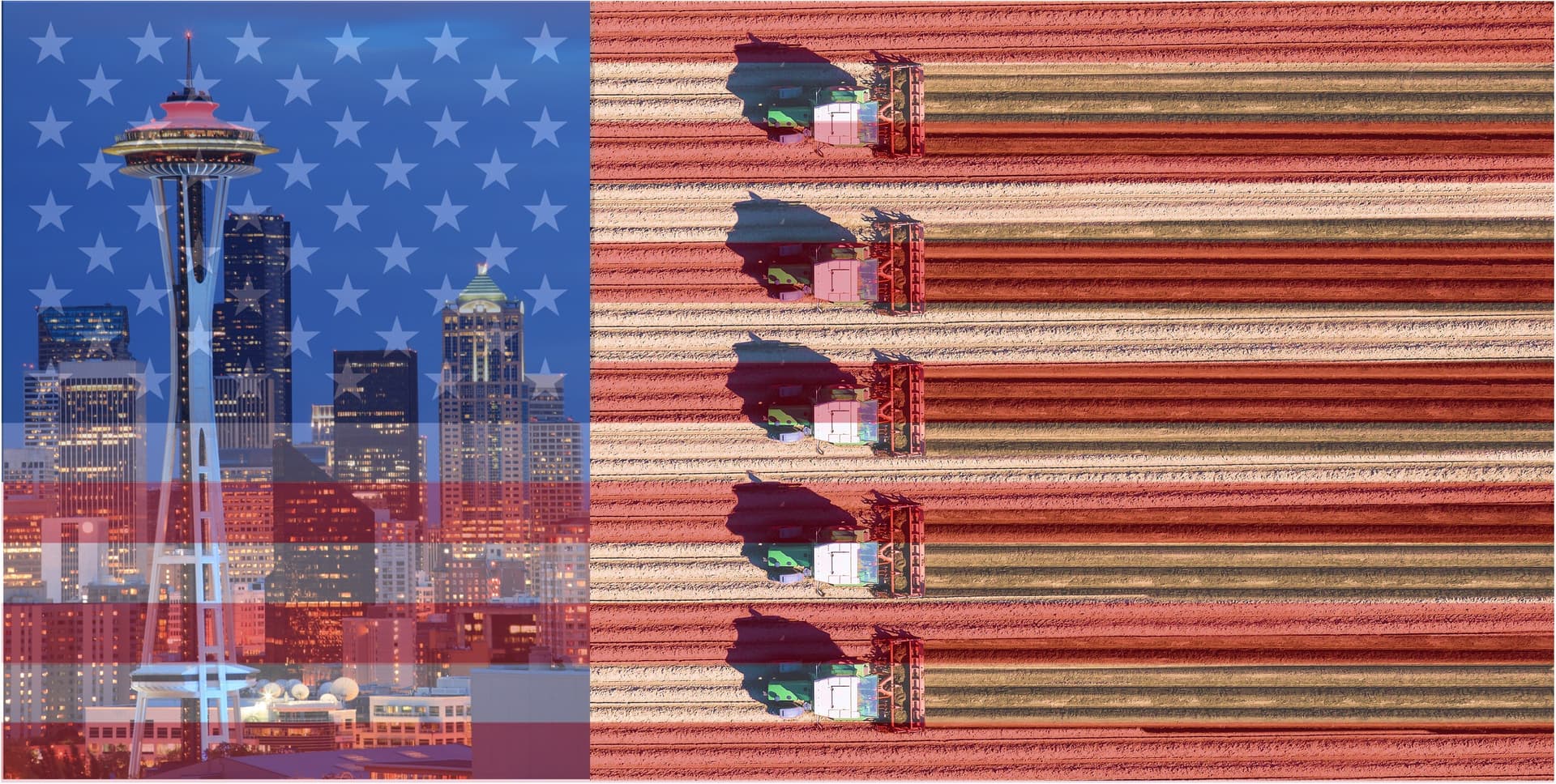 Main Street to Metropolis: The Split Defining State of the United States - Interplace cover