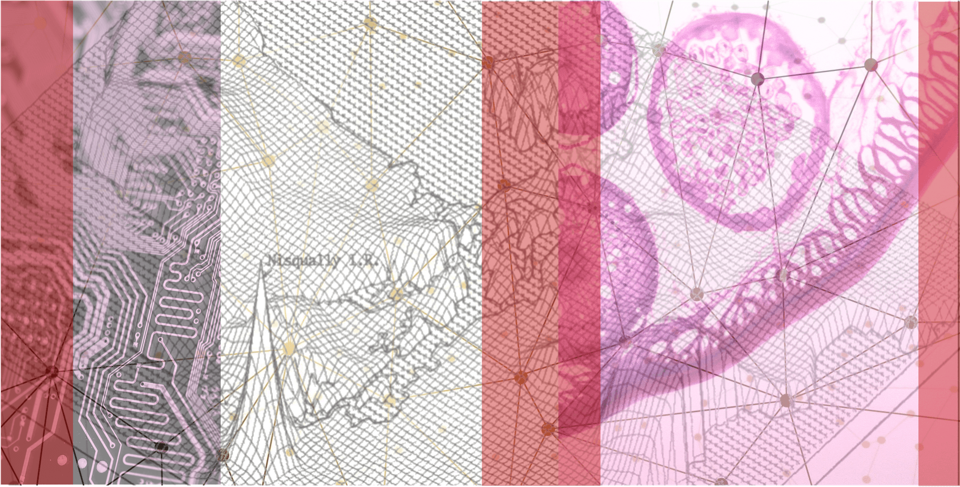What the World Points To - Interplace cover