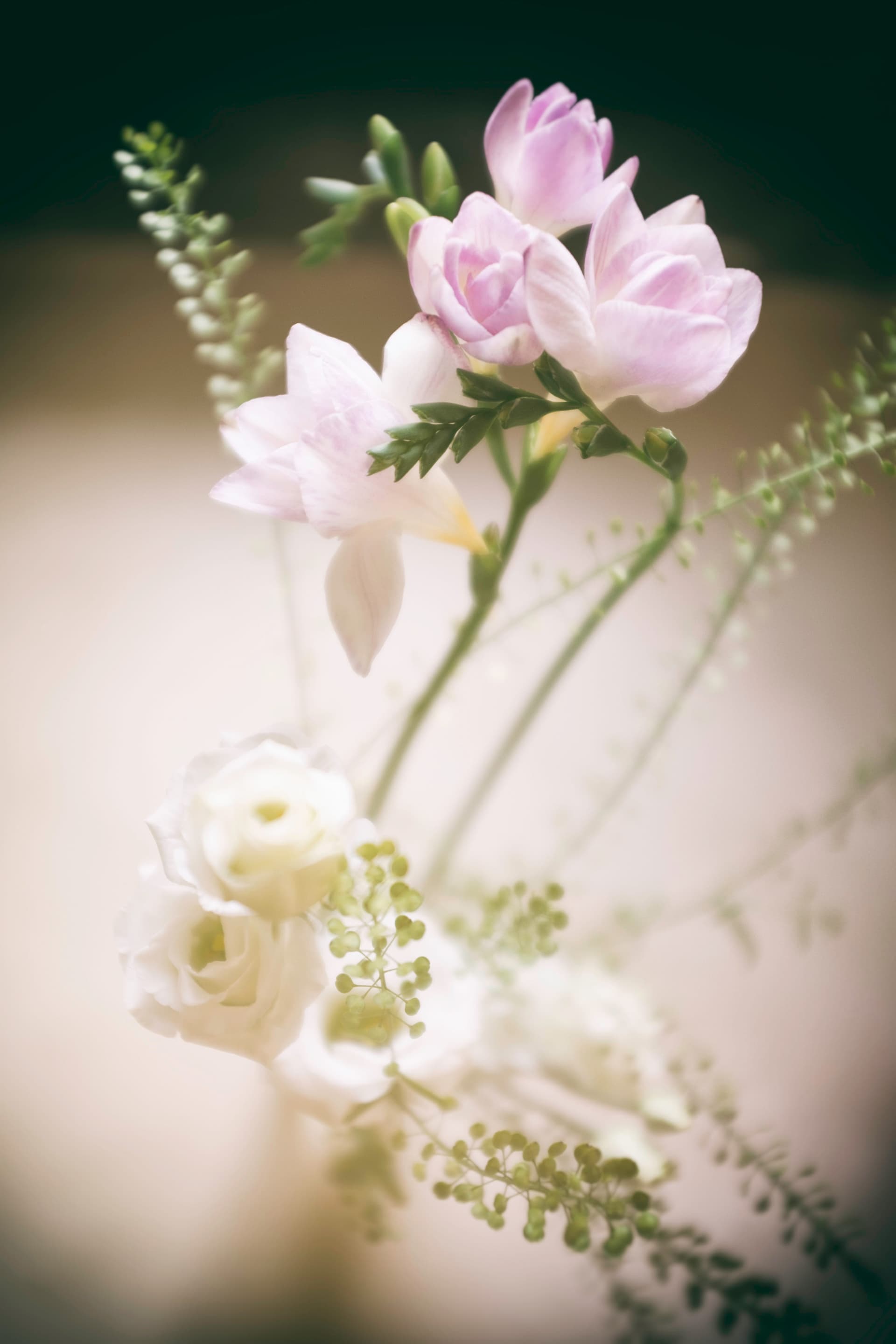 buy my english posies! - The Literary Compass Podcast cover