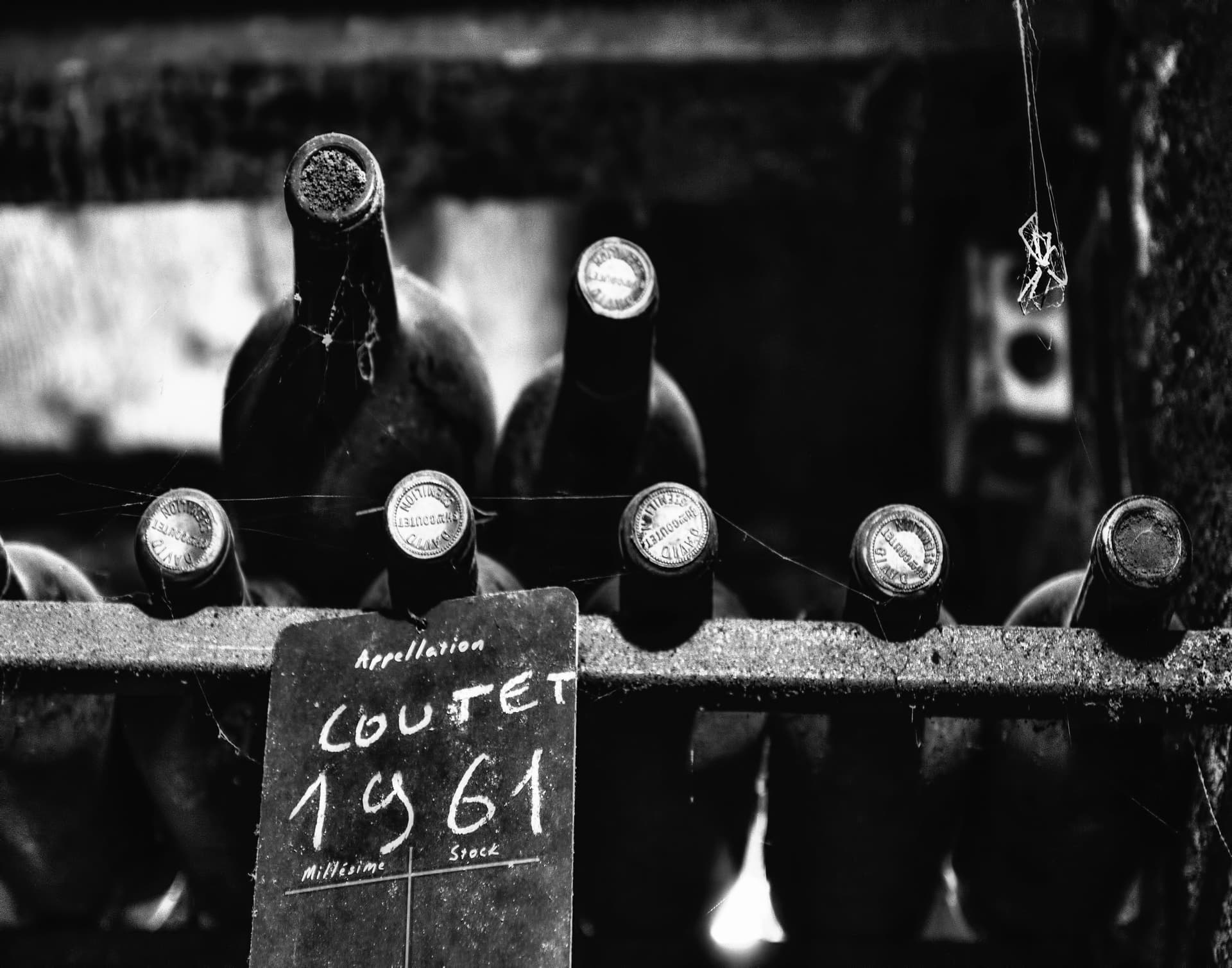 drinking the sea & an inexhaustible cascade of wine — The Literary Compass Podcast cover