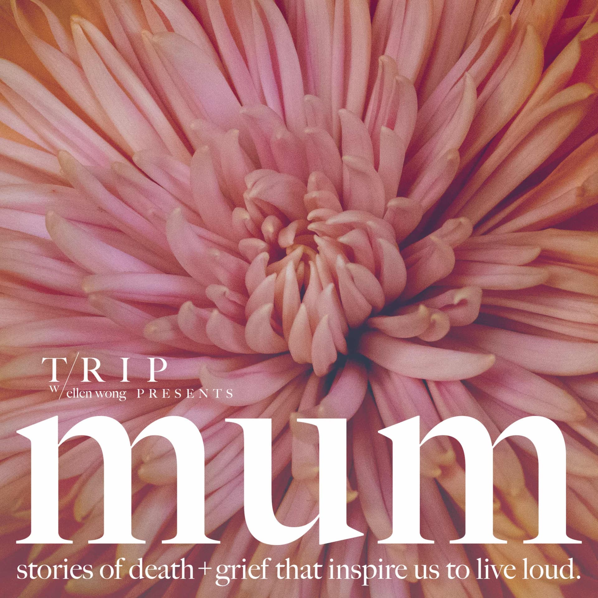 MUM cover