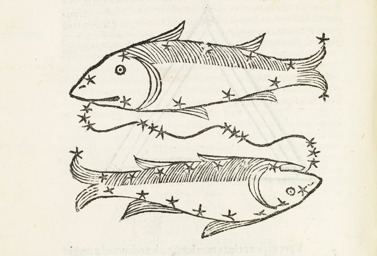 Ep 22: The Slippery Fish Eclipse with Bronwyn Simons - Between the Moon cover