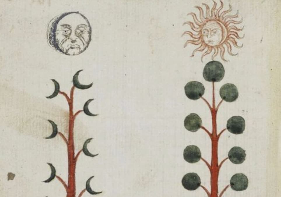 Ep 24: Meeting the Moment with Bronwyn Simons - Between the Moon cover