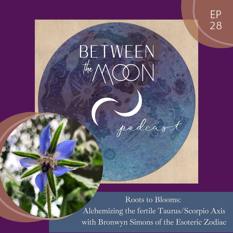 Ep 28: Roots to Blooms: Alchemizing the fertile Taurus/Scorpio Axis - Between the Moon cover
