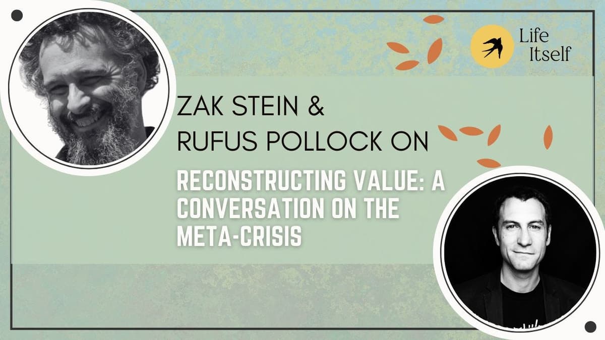 Zak Stein on Reconstructing Value: A Conversation on the Meta-Crisis - Life Itself Podcast cover