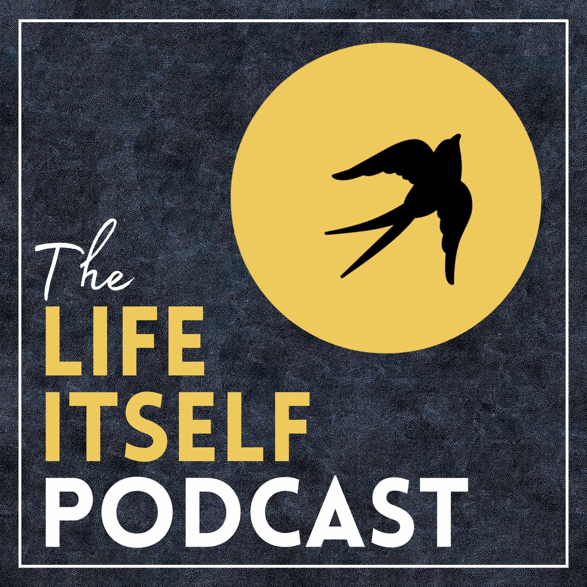Life Itself Podcast cover
