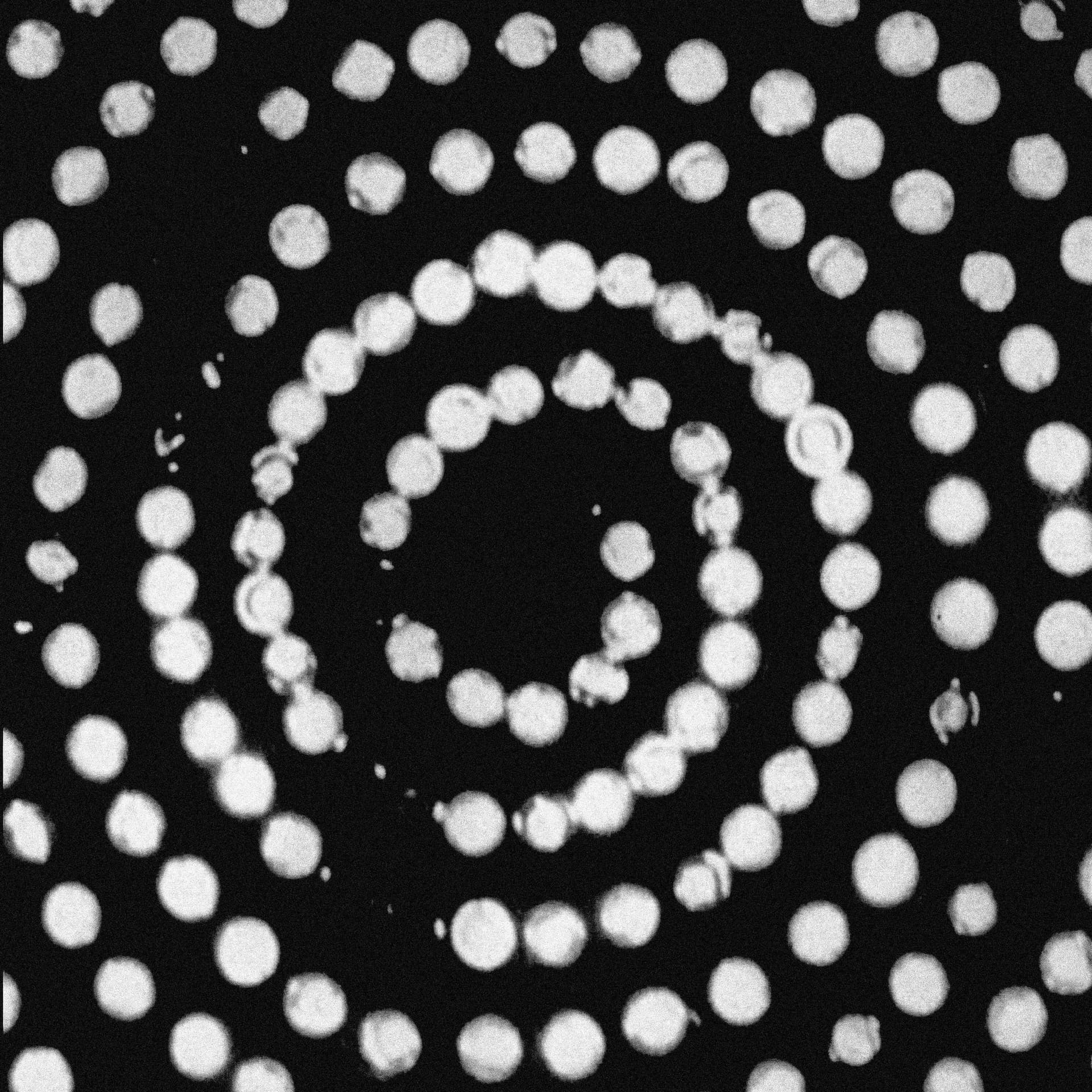 Sound-Sound cover